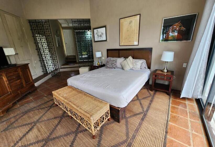 标准间, Casa Joseph