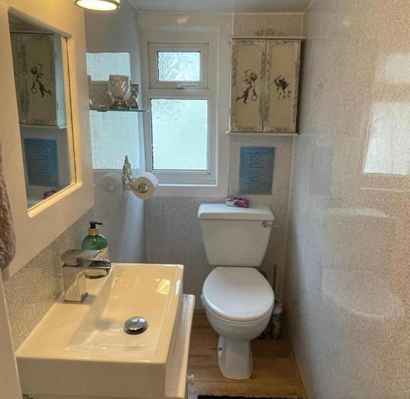 디럭스 룸, Olivia House