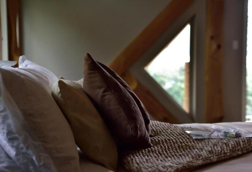 Superior Szoba, The Rockwell Harrison Guest Lodge