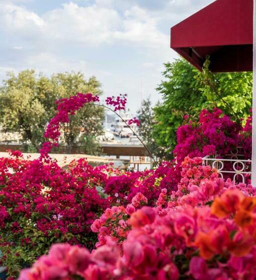 Номер Стандарт Вид на Море с Балконом, Son2oda