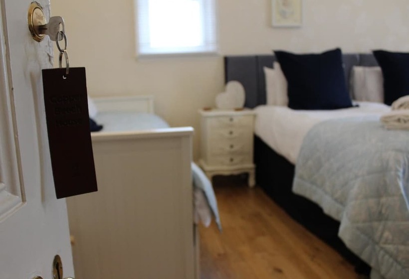 스탠다드 룸 더블 침대, Copper Beech House