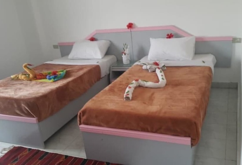 اتاق استاندارد, Fayed Beach Resort