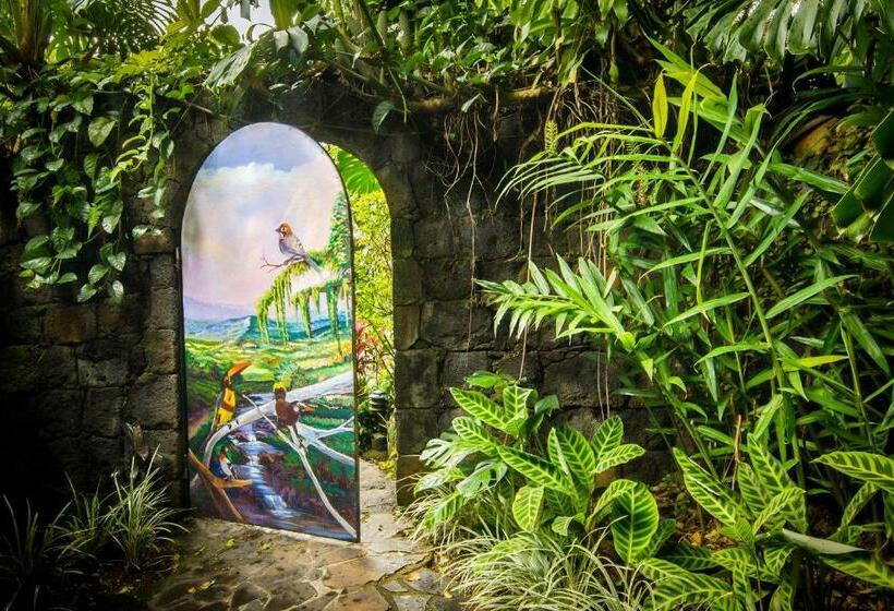 جناح جونيور, Finca Rosa Blanca Coffee Farm And Inn