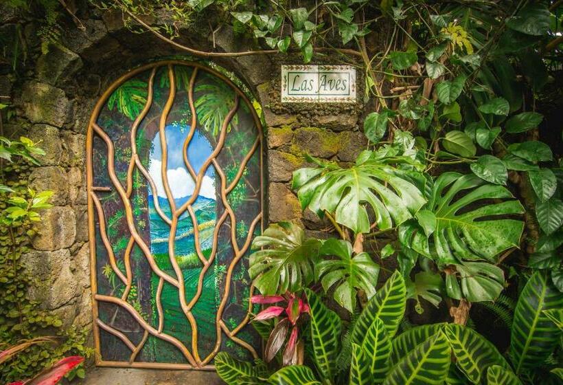 جناح جونيور, Finca Rosa Blanca Coffee Farm And Inn