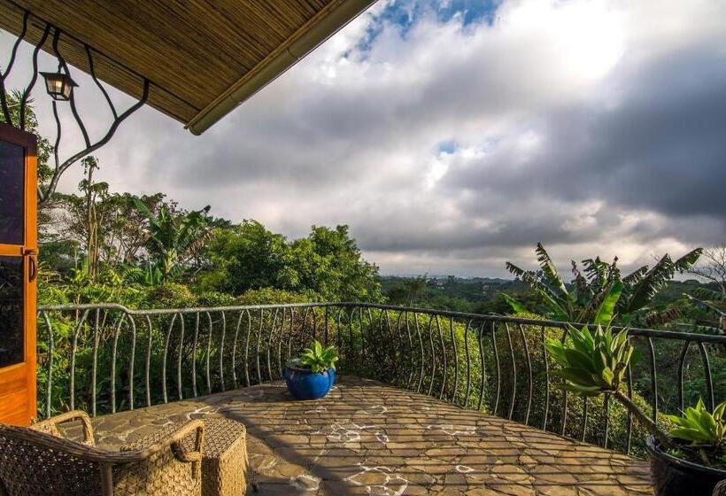 جناح جونيور, Finca Rosa Blanca Coffee Farm And Inn