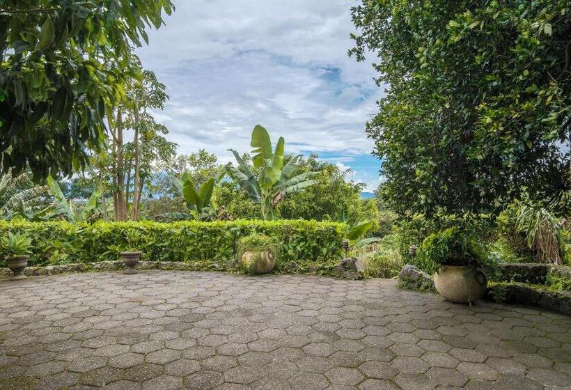 جناح, Finca Rosa Blanca Coffee Farm And Inn