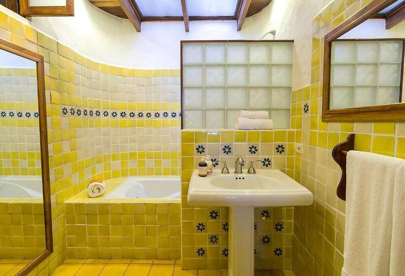 فيلا سوبيريور غرفة نوم واحدة, Finca Rosa Blanca Coffee Farm And Inn