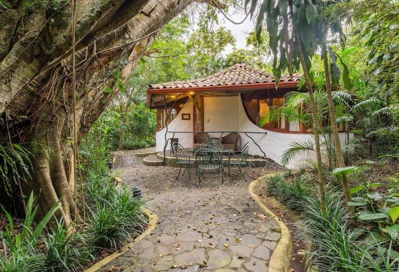 جناح, Finca Rosa Blanca Coffee Farm And Inn