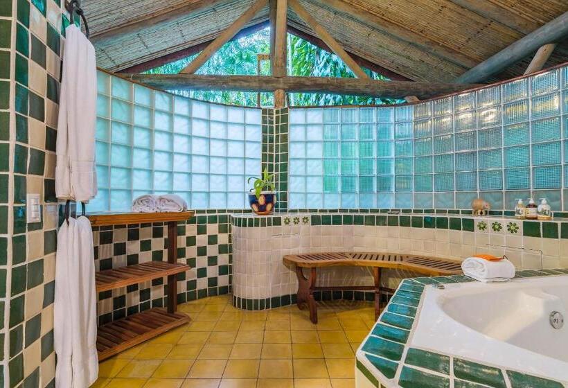 جناح, Finca Rosa Blanca Coffee Farm And Inn