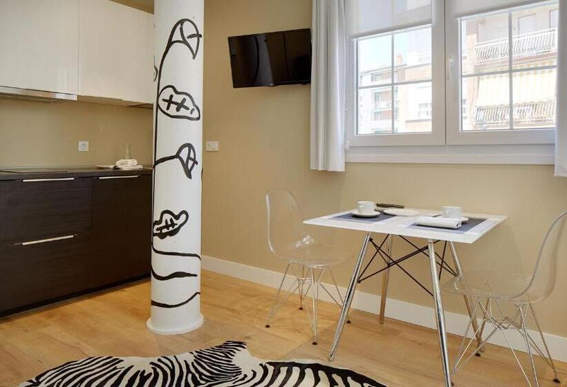 إستوديو قياسى مزودة بتراس, Flysch