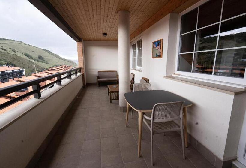 شقة غرفة واحدة مزودة بتراس, Flysch