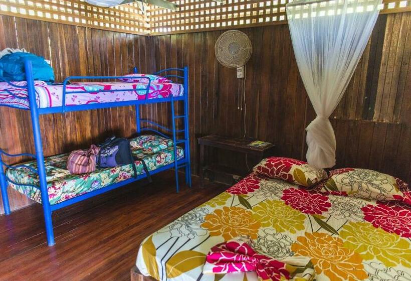 Vuode Makuusalissa, Luminosa Montezuma Hostel