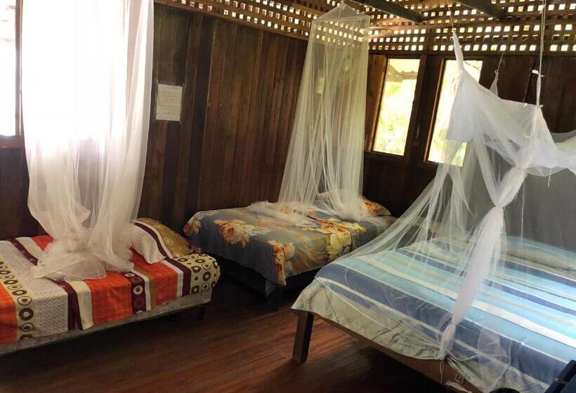 공동 객실, Luminosa Montezuma Hostel