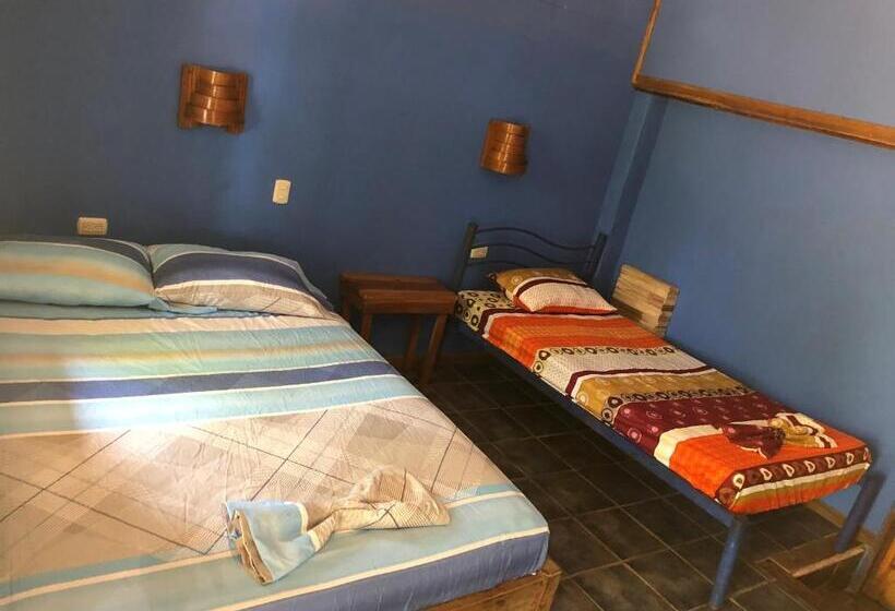 Standard Kolmen Hengen Huone, Luminosa Montezuma Hostel