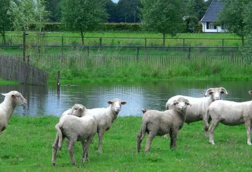 Standard-huone, De Turfstaeker