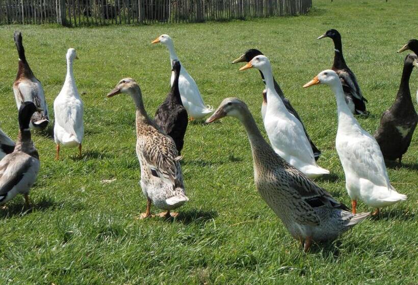 标准间, De Turfstaeker