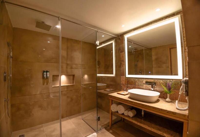 اتاق سوپریور, Presidium Sarovar Premiere Dalhousie