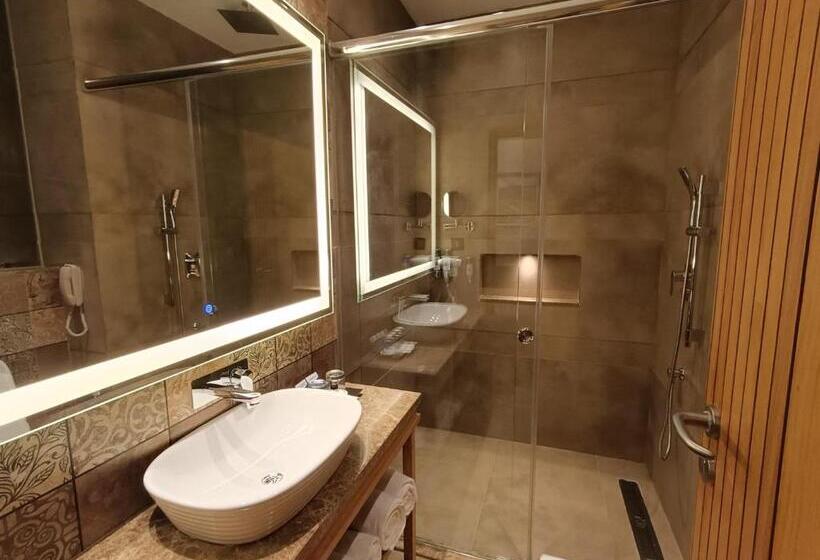 Premium room with view, Presidium Sarovar Premiere Dalhousie