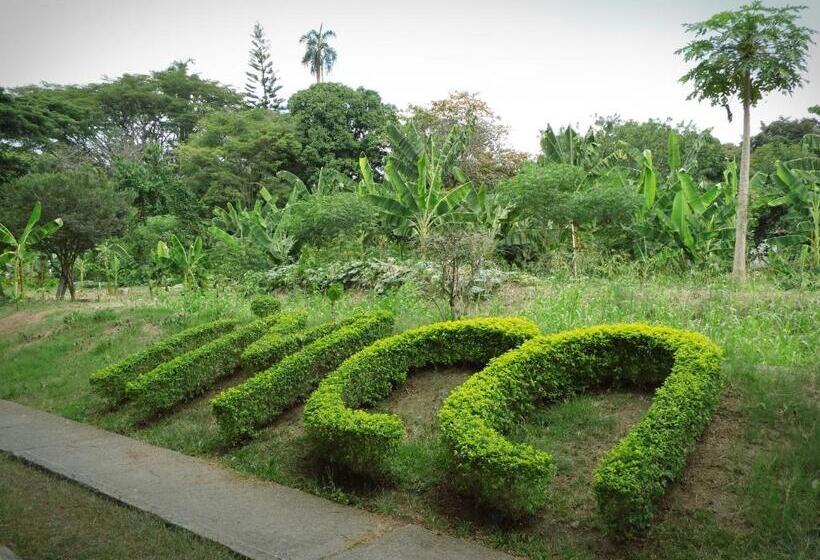 חדר סטנדרט, Imca