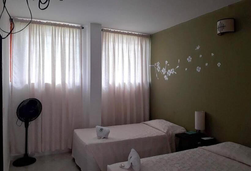 חדר סטנדרט, Imca