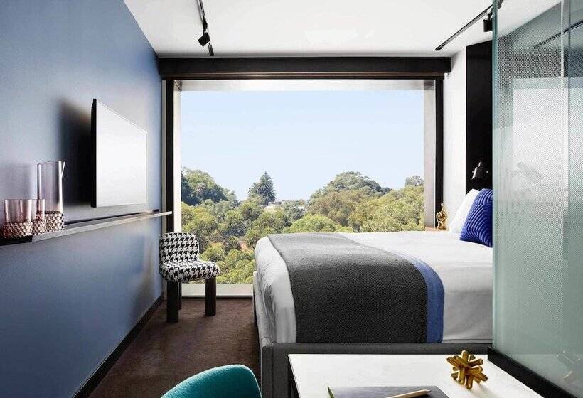 公園の見えるスタンダードルーム, Tribe Perth