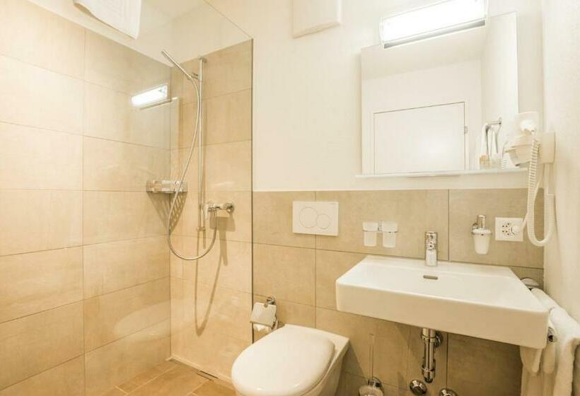 Номер Стандарт, Berghotel Schonhalden