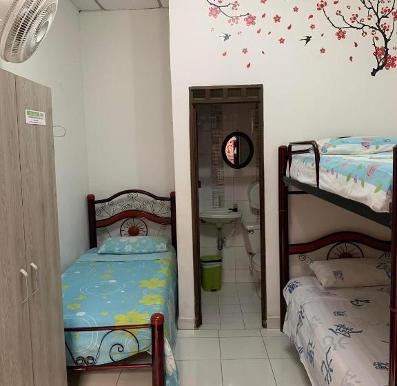 四人标准间, Mi Casita Pereira