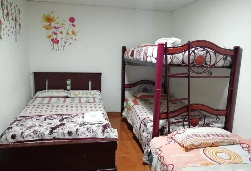 四人标准间, Mi Casita Pereira