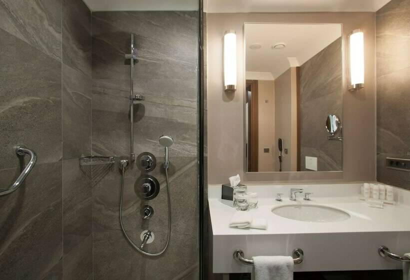 Номер Superior, Radisson Blu Hotel, Diyarbakir