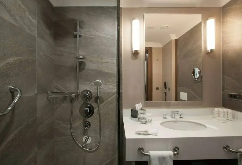 اتاق سوپریور, Radisson Blu Hotel, Diyarbakir