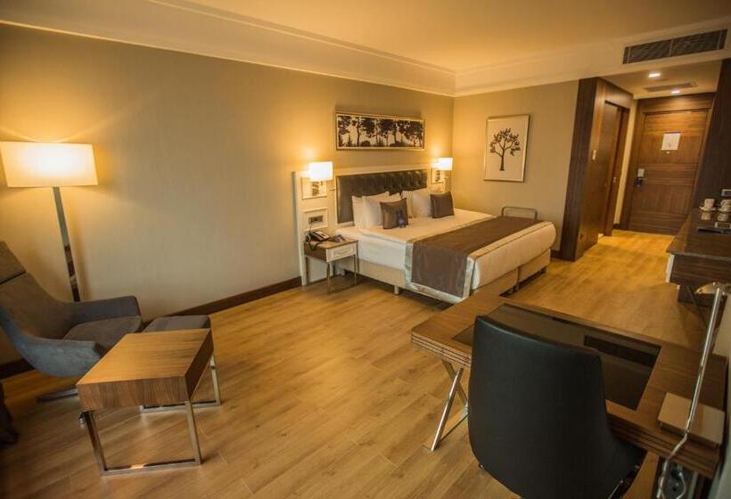 Номер Стандарт, Radisson Blu Hotel, Diyarbakir