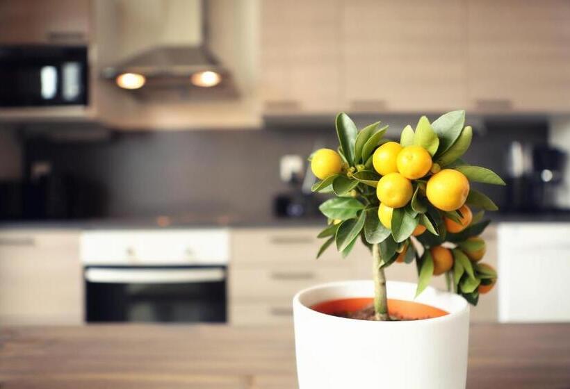 침실 4개 주택, Nallikari Seaside Villas