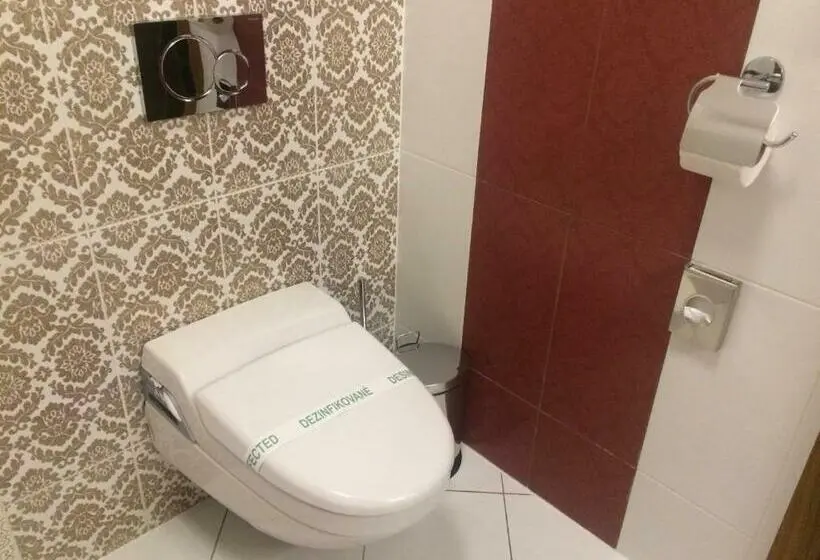 Standard-huone, Wellness Hotel Löwe