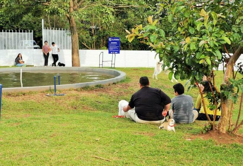 اتاق خانوادگی, Airport Traveler S Home