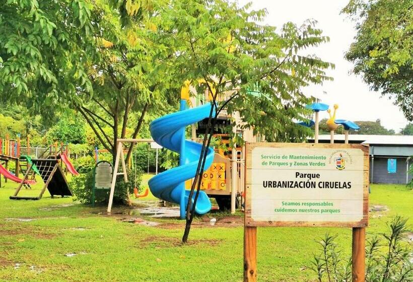 اتاق خانوادگی, Airport Traveler S Home