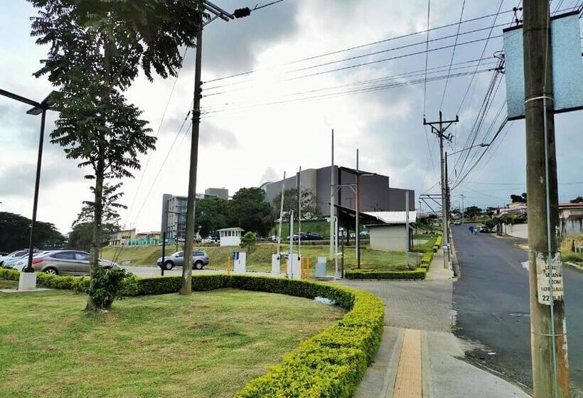 اتاق خانوادگی, Airport Traveler S Home