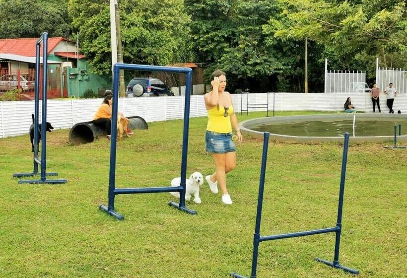 اتاق خانوادگی, Airport Traveler S Home