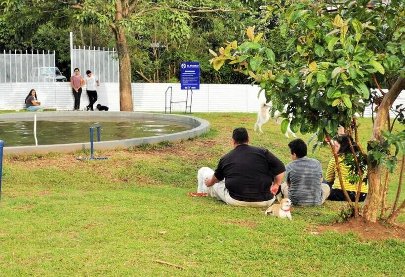 اتاق استاندارد با سرویس بهداشتی مشترک, Airport Traveler S Home