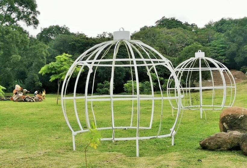 اتاق استاندارد با سرویس بهداشتی مشترک, Airport Traveler S Home