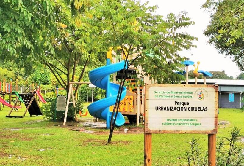 اتاق استاندارد, Airport Traveler S Home