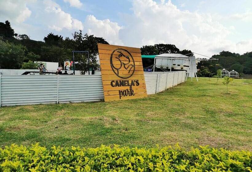 اتاق استاندارد, Airport Traveler S Home