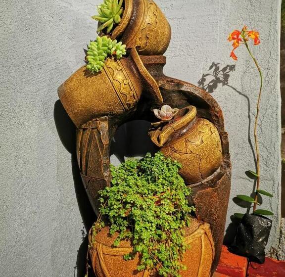 اتاق خانوادگی, Airport Traveler S Home