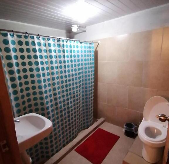 اتاق استاندارد, Airport Traveler S Home