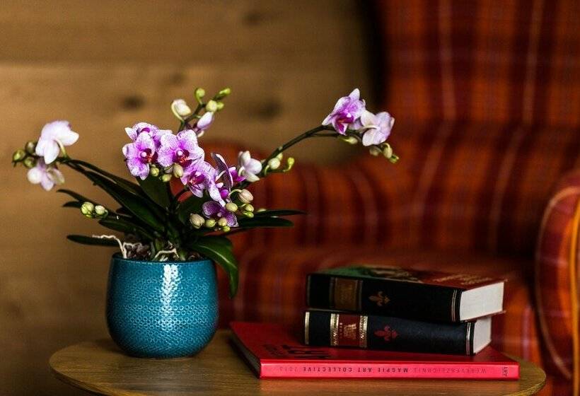 סוויטה, Das Aunhamer Suite & Spa