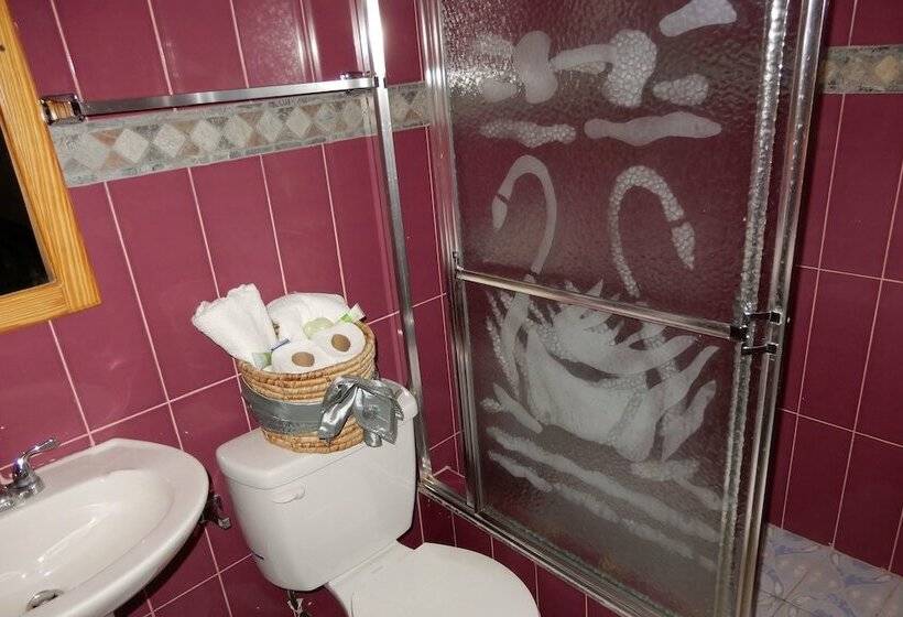 اتاق استاندارد یک نفره, Hôtel Villa Lamarre
