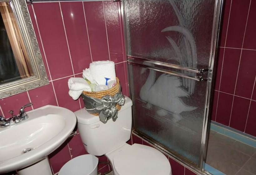 استودیو استاندارد با چشمانداز باغ, Hôtel Villa Lamarre