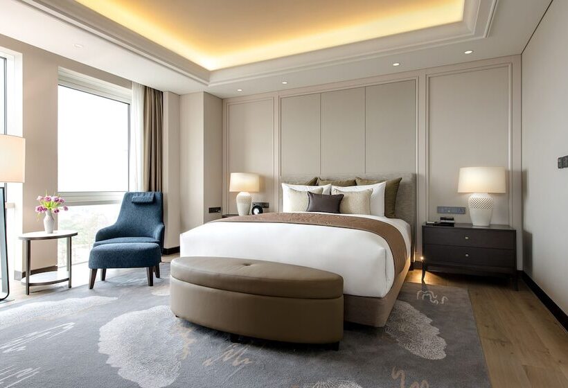 Suit Deluxe, Paradise City