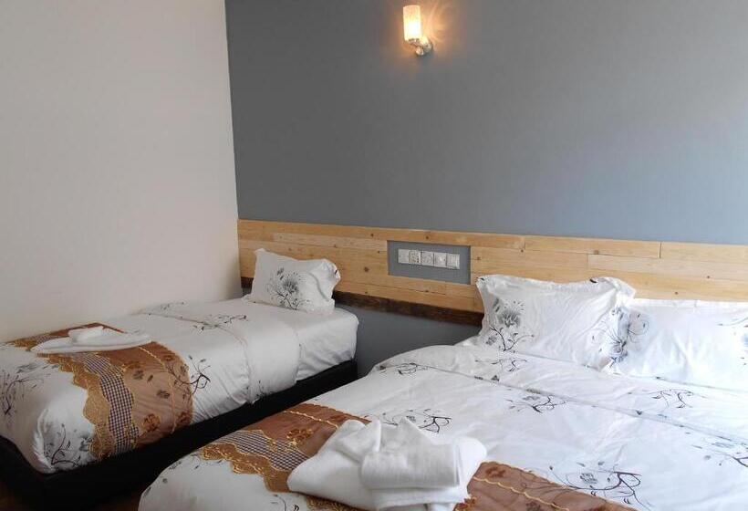 舒适三人间, Pi Grand