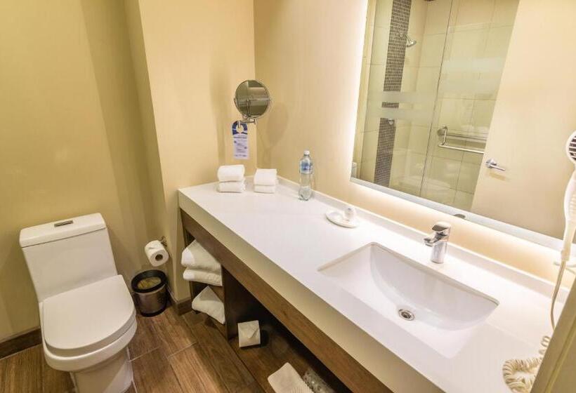 带大床的标准间, Latam Hotel Plaza Pradera Quetzaltenango