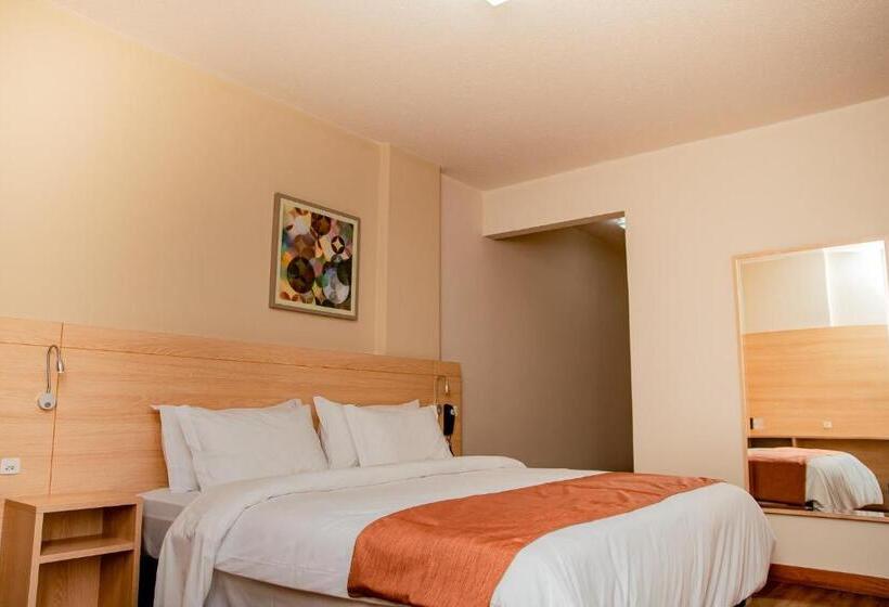 اتاق استاندارد با تخت بزرگ, Luds Comfort